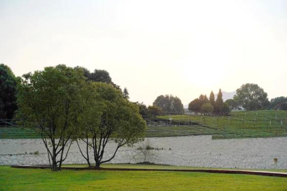 杭州小馆美食_知竹素面推荐_杭州八卦田网红饭店电话多少啊-