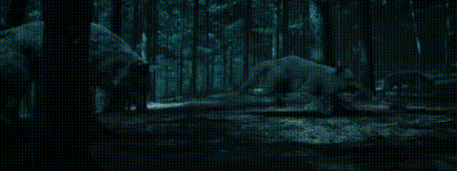 网络电影惊悚片兴起_国产惊悚片市场萎缩_韩国论理电影在线观看